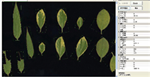 植物葉面積分析儀系統， 野外便攜式植物葉面積分析儀